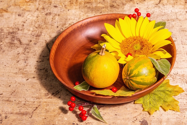 Herbstzusammensetzung. Tischdekoration, Sonnenblumen, rote Beeren und Kürbisse. Festlicher Hintergrund für gute Laune, Kopienraum