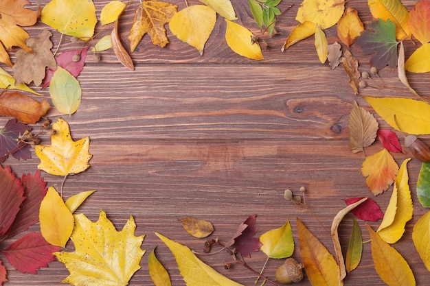 Herbstzusammensetzung und Herbstblätter auf einer hellen Hintergrundnahaufnahme