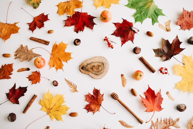 Herbstzusammensetzung und Rahmen aus Herbstlaub auf weißem Hintergrund Draufsicht Kopie Raum