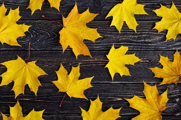 Herbstzusammensetzung von Blättern auf dunklem hölzernem.