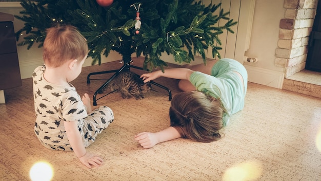 Foto hermana y hermano menor juegan con un gatito bajo el árbol de navidad