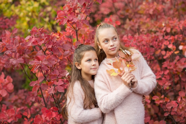 Hermanitas chicas en otoño parque con follaje rojo brillante