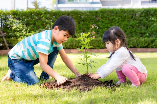 Hermano asiático hermano y hermana plantando árbol joven en suelo negro juntos como salvar el mundo en el jardín en la casa el día de verano. Plantar árboles.