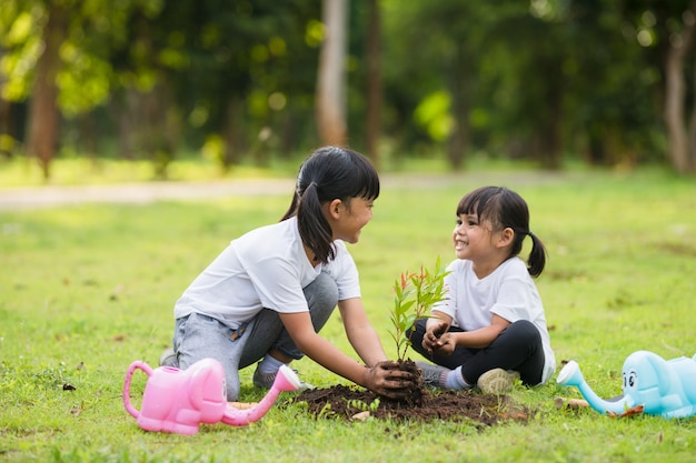 Hermano asiático plantar árboles jóvenes en suelo negro juntos como salvar el mundo en el jardín el día de verano