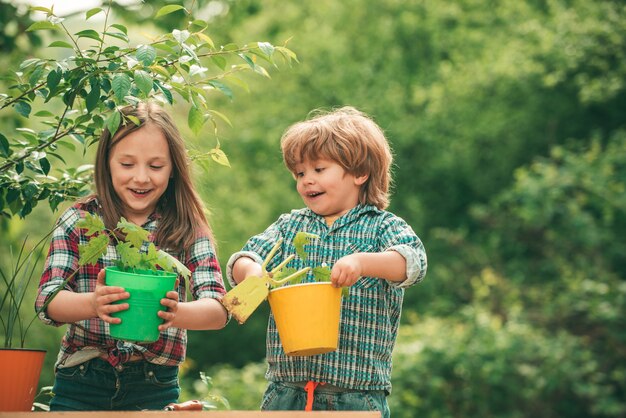 Hermano y hermana cultivan flores juntos agricultura de verano niños divertidos granjero en la granja con ...