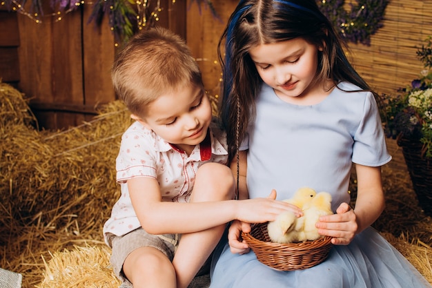 hermano y hermana en la granja se ríen y miran las gallinas