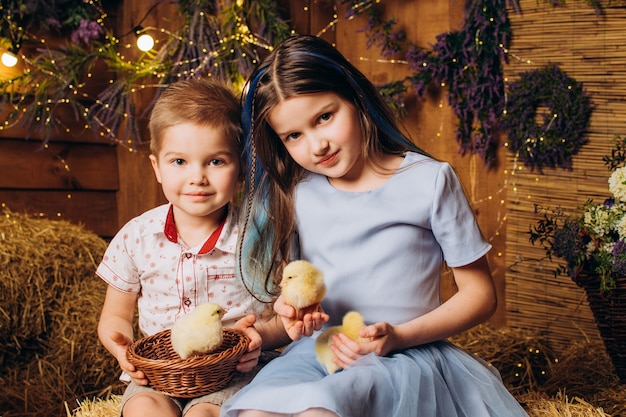 hermano y hermana en la granja se ríen y miran las gallinas