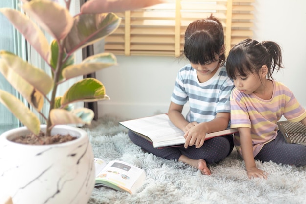 Hermanos concentrados leyendo un libro.