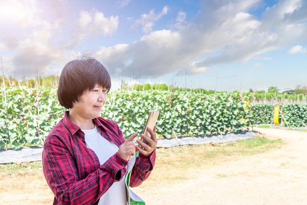 Hermosa agricultora sosteniendo un teléfono inteligente y comprobando la calidad de un melón orgánico que creció en el sistema hidropónico del jardín e información en el teléfono móvil en la mano