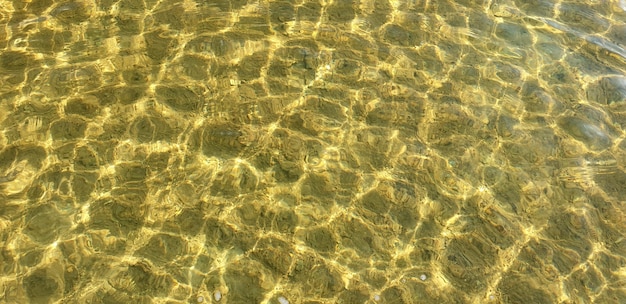 Hermosa agua clara con ondas de un lago de verano