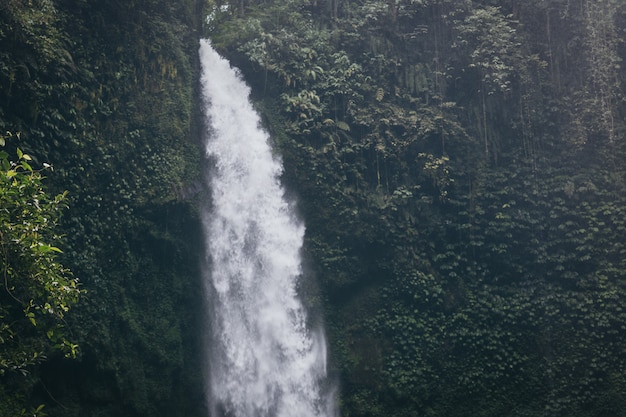 Hermosa agua de Nungnung en el bosque tropical de Bali, popular destino turístico