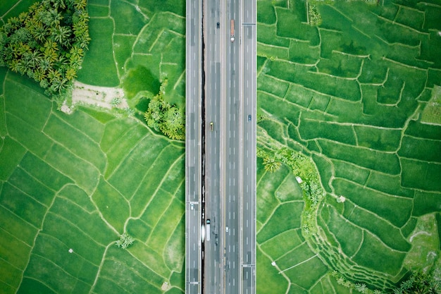 Hermosa autopista de peaje elevada rodeada de campos de arroz