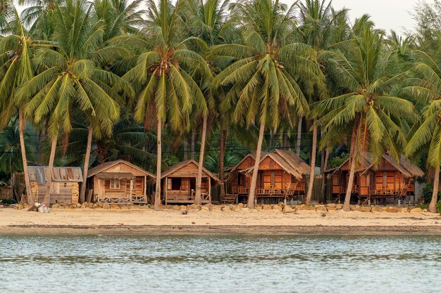 Hermosa bahía con palmeras de coco y bungalows de madera que se refleja en el agua de mar Playa de arena tropical hoja de palma verde y agua de mar en la isla de Koh Phangan Tailandia