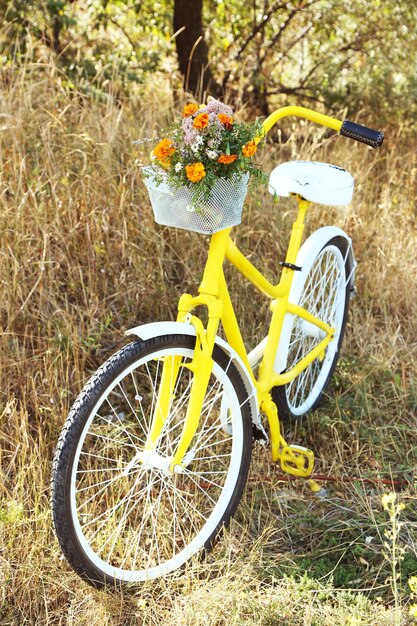 Hermosa bicicleta amarilla con ramo de flores en canasta al aire libre