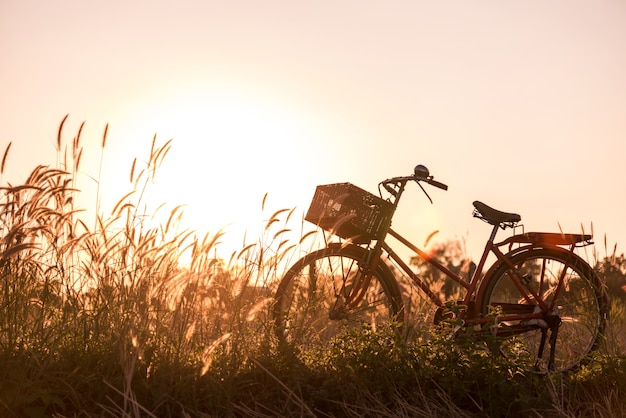 hermosa bicicleta vintage roja en campo de hierba al atardecer