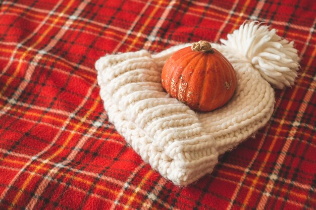 Hermosa calabaza, sombrero, en cuadros rojos. Felices Fiestas. Otoño acogedor.