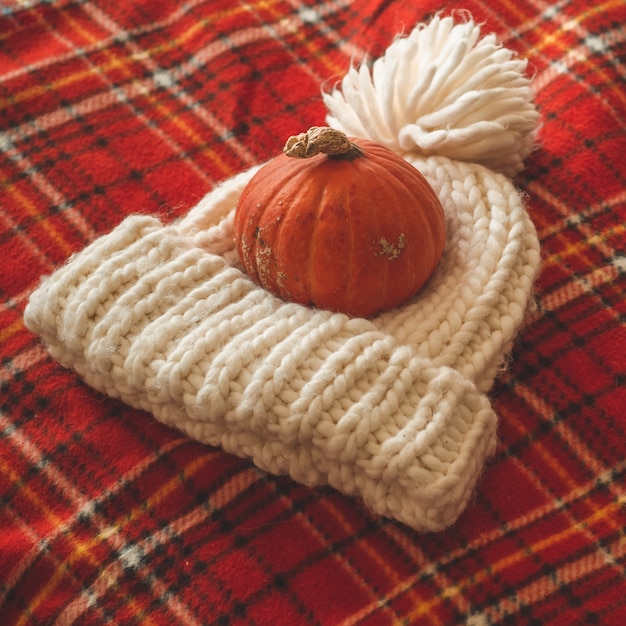 Hermosa calabaza, sombrero, en cuadros rojos. Felices Fiestas. Otoño acogedor.