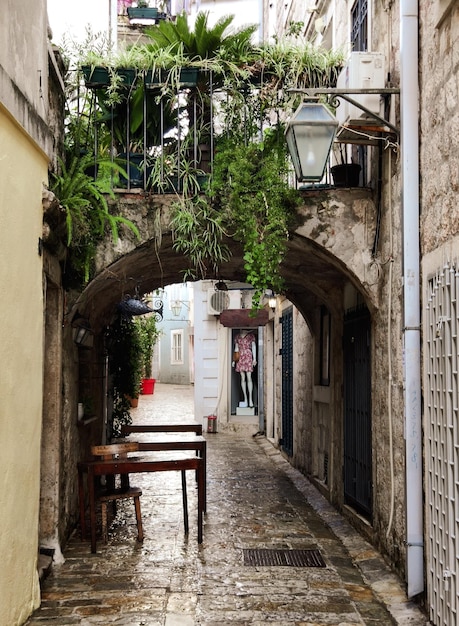 Foto hermosa calle angosta con linterna y plantas en el casco antiguo de budva montenegro