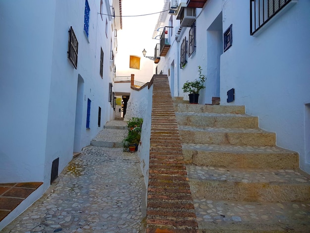 Hermosa calle estrecha de Frigiliana