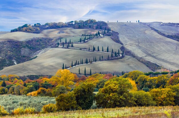 Hermosa campiña toscana