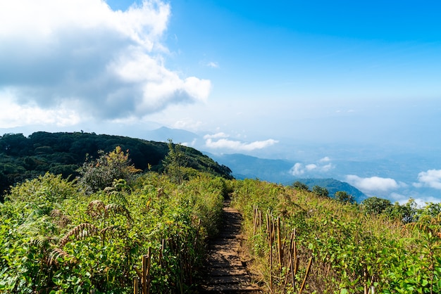 Hermosa capa de montaña con nubes y cielo azul en Kew Mae Pan Nature Trail en Chiang Mai, Tailandia