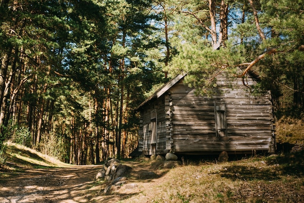 Foto hermosa casa de madera en el bosque