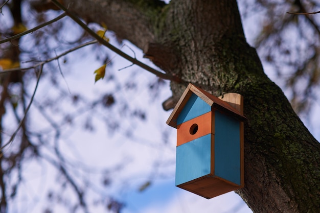 Hermosa casa para pájaros multicolores en el parque.