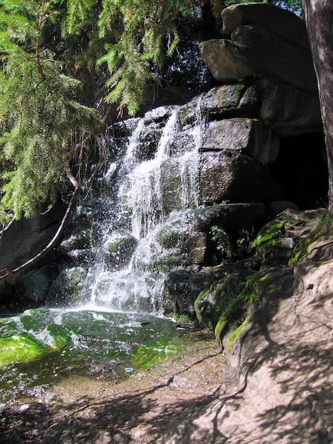 hermosa cascada en el antiguo bosque de verano en las montañas