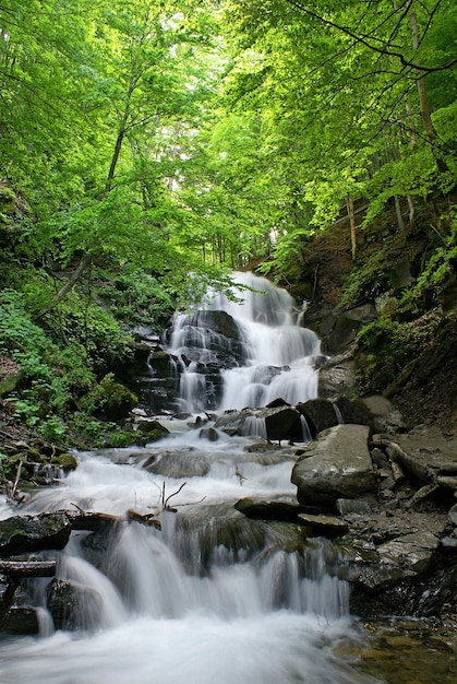 Hermosa cascada y árboles verdes. Tiempo de primavera.