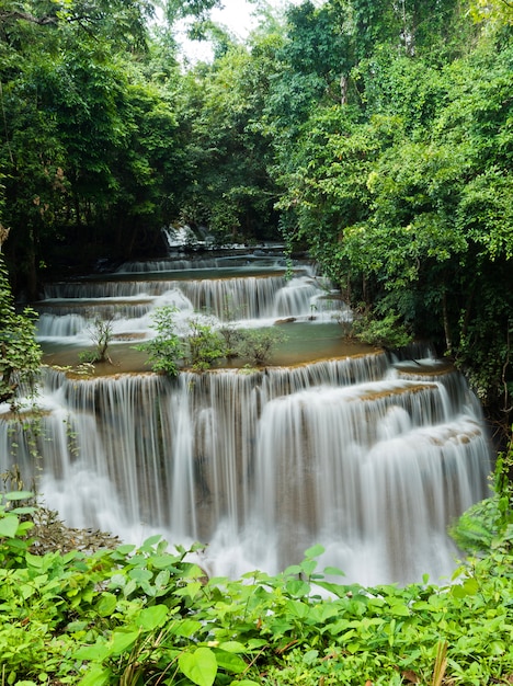 hermosa cascada, bosque de fondo, paisaje