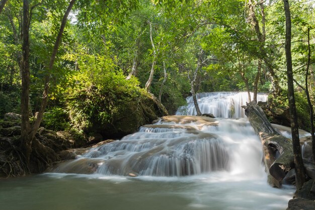 hermosa cascada bosque fondo paisaje