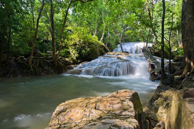 hermosa cascada bosque fondo paisaje