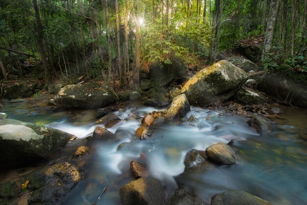 hermosa cascada en el bosque de otoño de la corriente en el parque natural