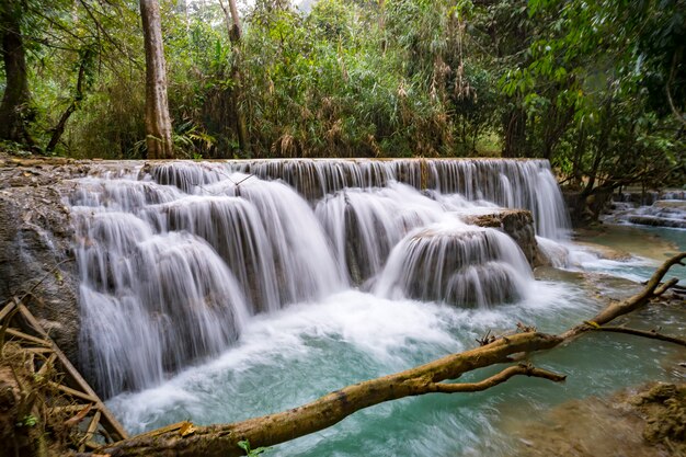 La hermosa cascada en el bosque, primavera, larga exposición.