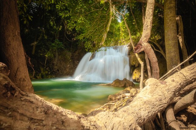 Foto hermosa cascada en el bosque profundo en el parque nacional srinakarin dam