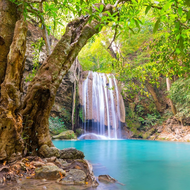 Hermosa cascada en el bosque de la selva tropical con un gran árbol verde y un lago esmeralda en primer plano Paisaje natural del Parque Nacional Erawan Kanchanaburi Tailandia