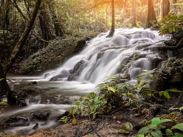 Hermosa cascada en el bosque tropical en el Parque Nacional