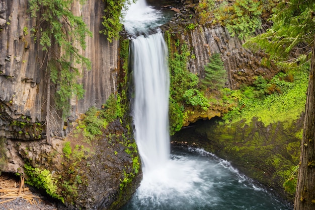 Hermosa cascada en el bosque verde, Oregon, USA.