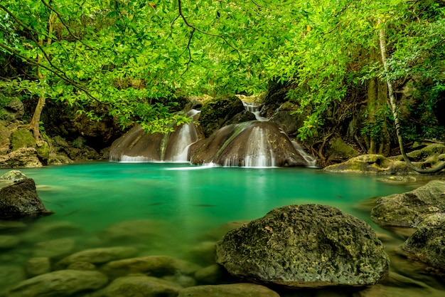 Hermosa cascada en el bosque verde