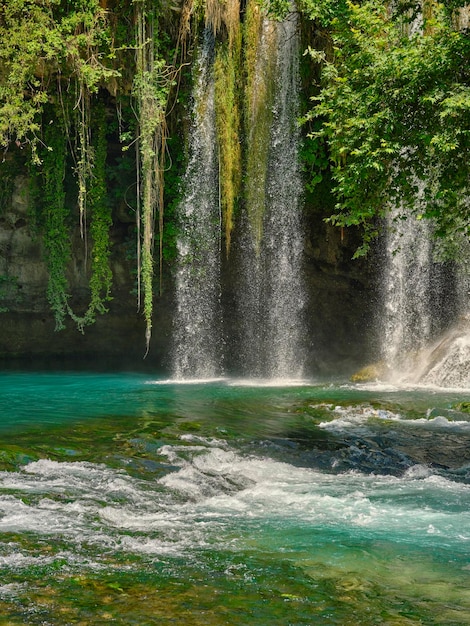 Hermosa cascada en el bosque