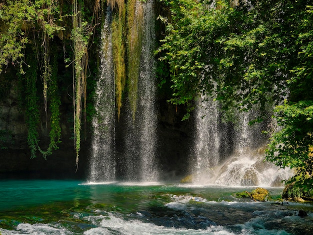 Hermosa cascada en el bosque