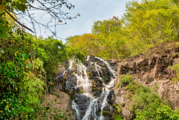 hermosa cascada en el bosque