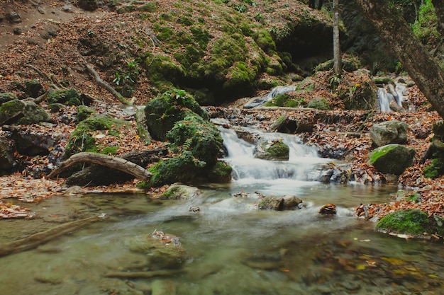 hermosa cascada en el bosque