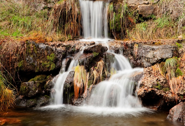 Hermosa cascada en el bosque