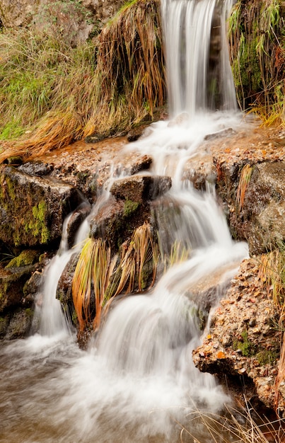 Hermosa cascada en el bosque