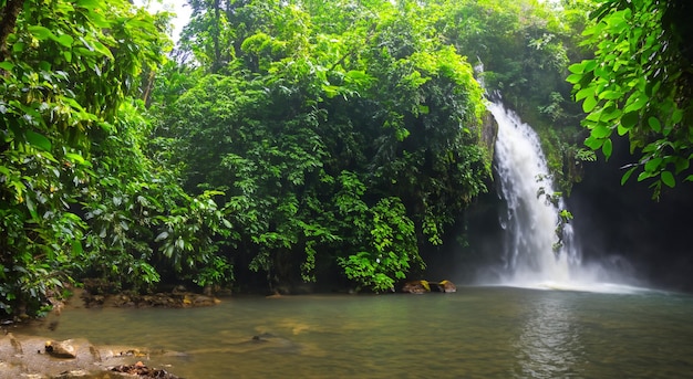 Una hermosa cascada cayendo en un río