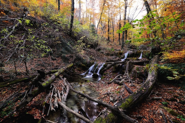 Hermosa cascada en el colorido bosque de otoño