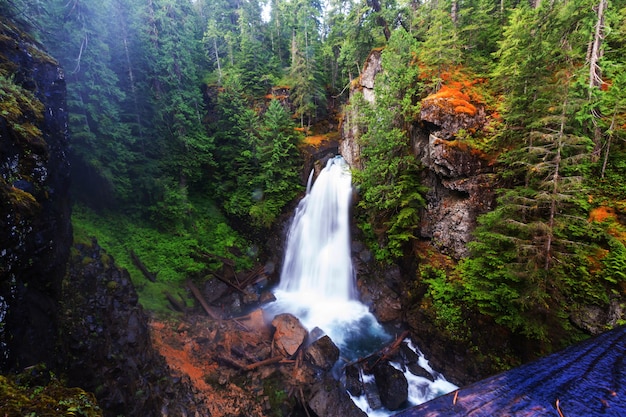 Hermosa cascada en la isla de Vancouver, Canadá