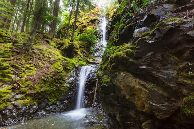 Hermosa cascada en la isla de Vancouver, Canadá