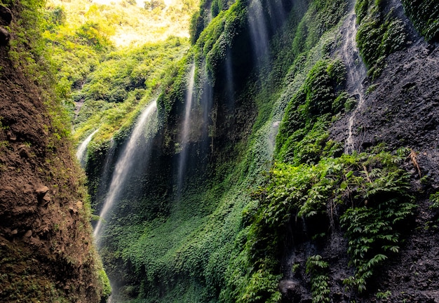 Hermosa cascada de Madakaripura en el valle rocoso